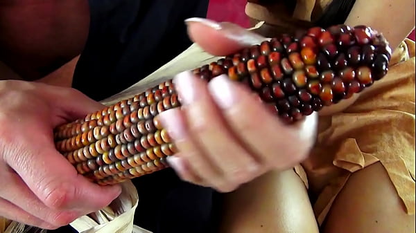 Bushwacker – Introduction