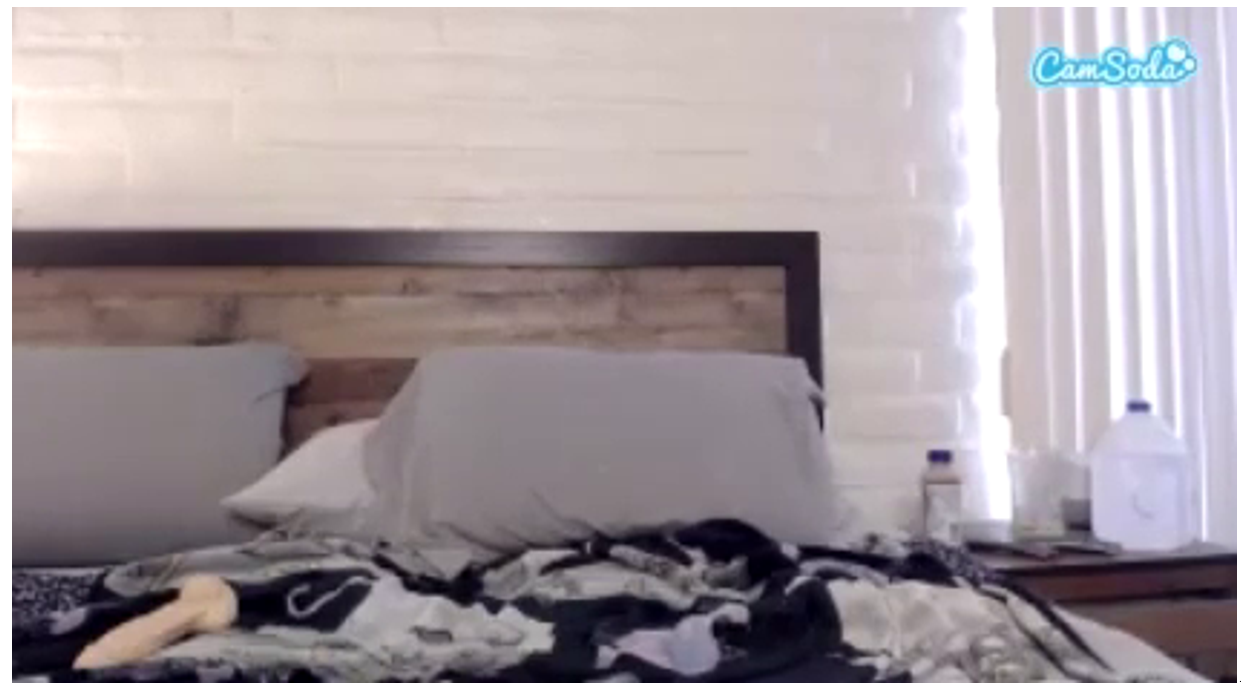 Lauren Hammelton Nude Riding Didlo